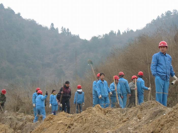 點擊查看放大圖