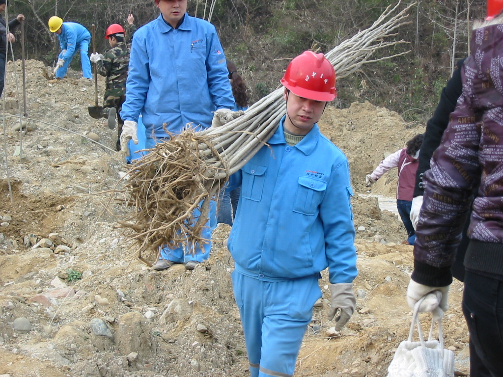 點擊查看放大圖