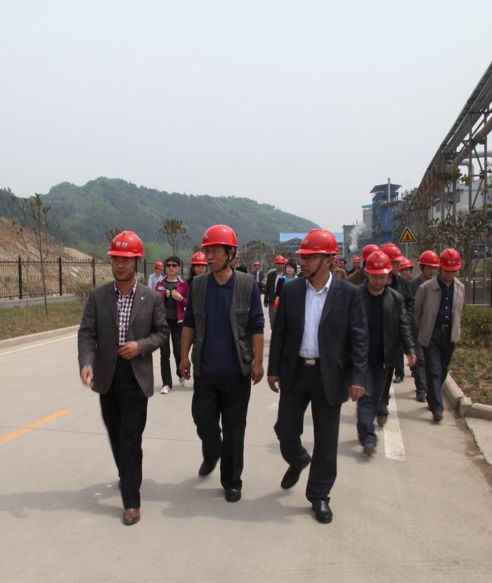 點擊查看放大圖