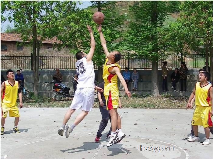 點(diǎn)擊查看放大圖