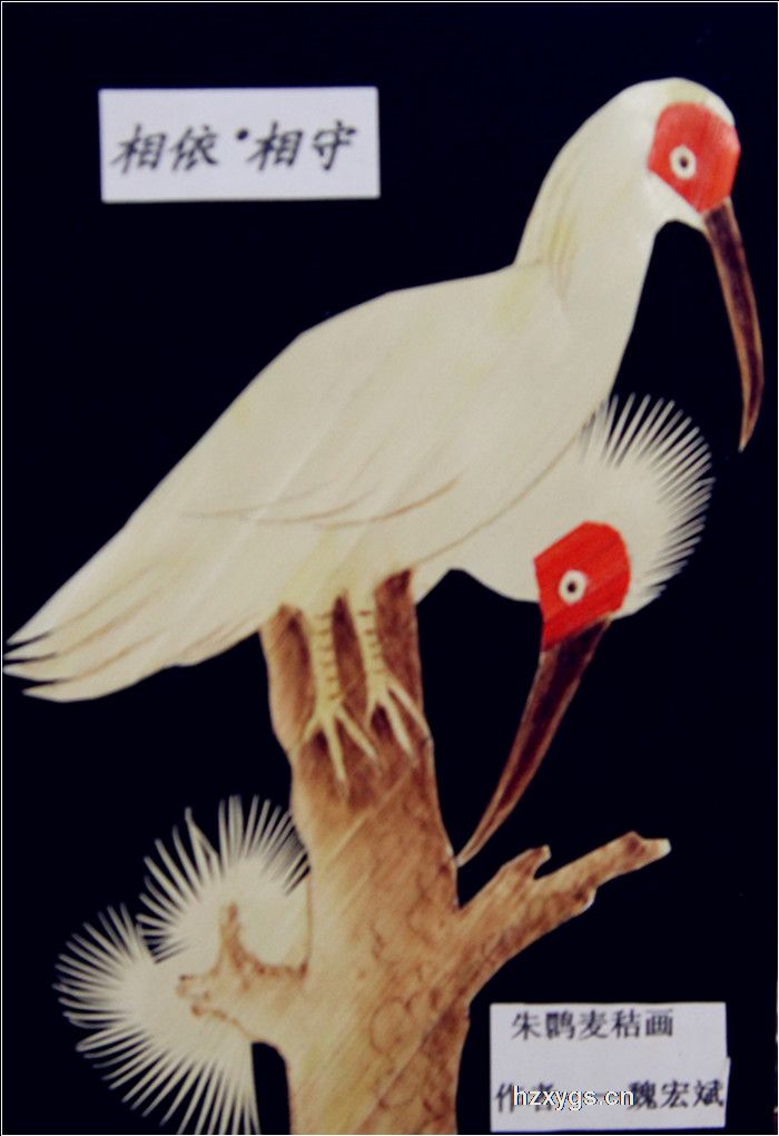 點(diǎn)擊查看放大圖